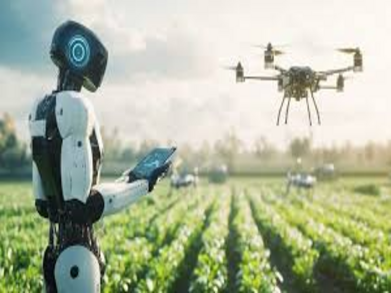 Agriculture & Environment